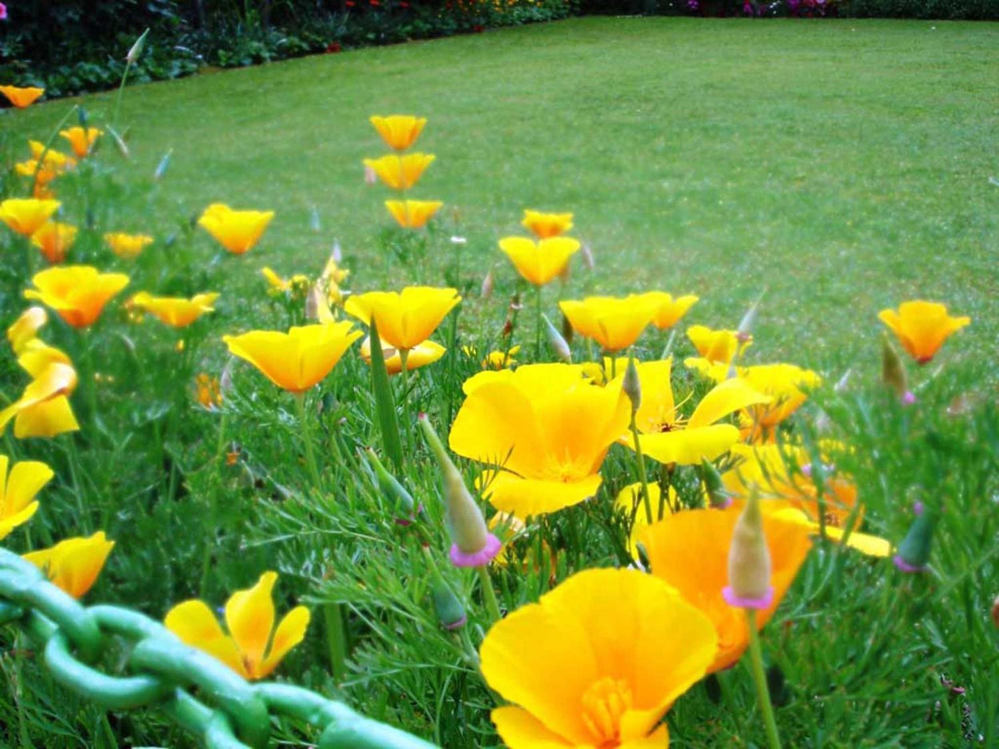 Srīnagar Ikraam Inn Bed & Breakfast מראה חיצוני תמונה